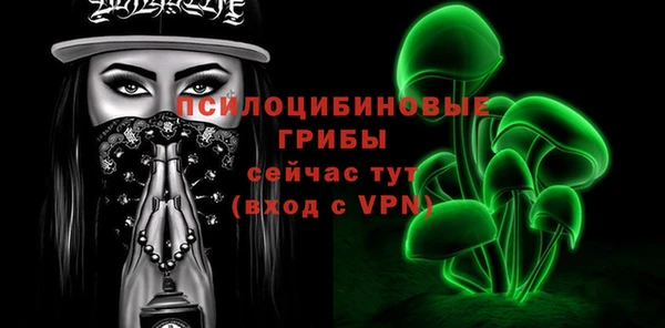 СК Покачи