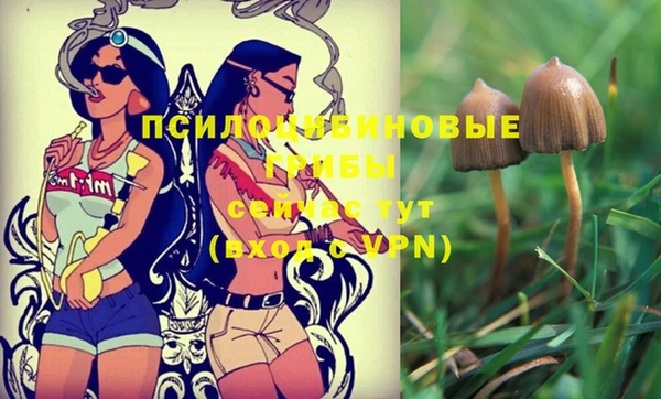 СК Покачи