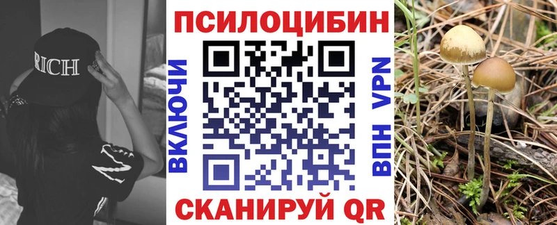 Псилоцибиновые грибы прущие грибы где продают наркотики Советск